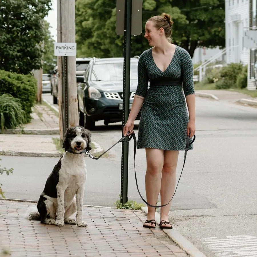 Heavy Duty Dog Leash With Padded Handles And Traffic Handle