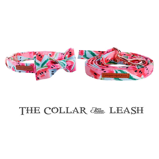 Unique Style Paws Cute Pink Dog Collar Leash Set Bowtie