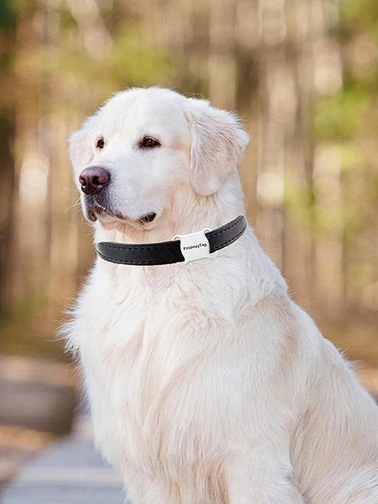 APWIKOGER Pet GPS Tracker Waterproof Bluetooth Collar