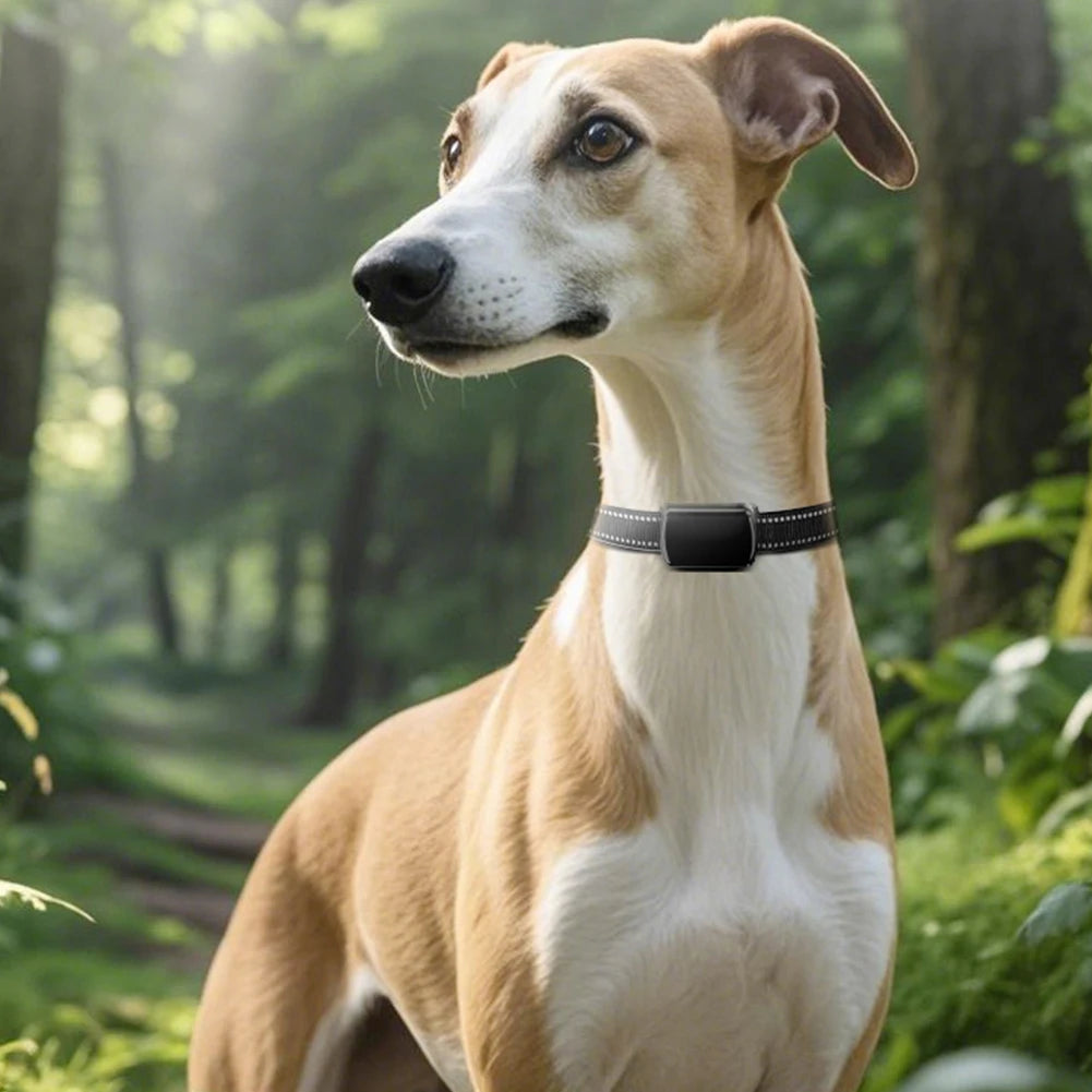 Pet GPS Tracker With Adjustable Collar For Cats And Dogs