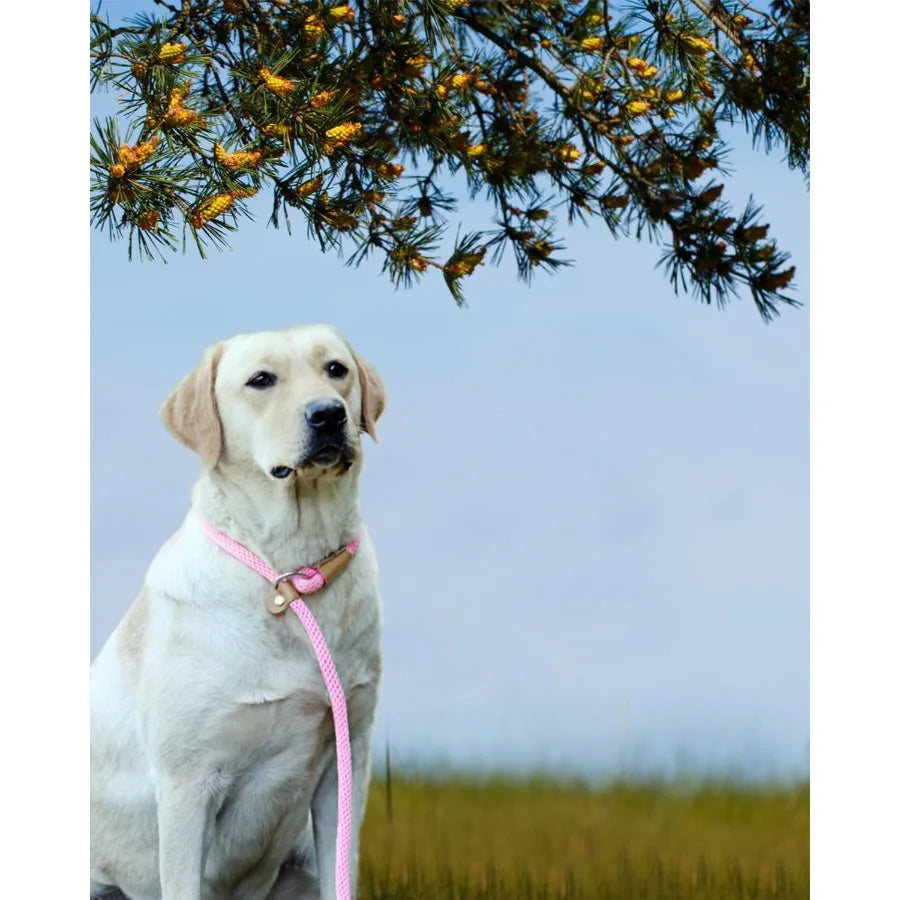 High-concerned Heavy Duty Braided Dog Leash for Training and Walking