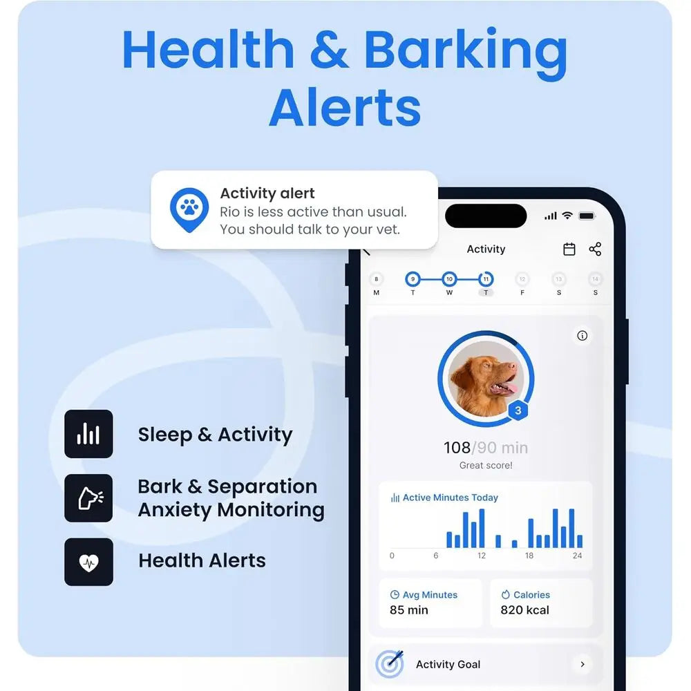 Smart Dog GPS Tracker Real Time Tracking and Bark Monitor