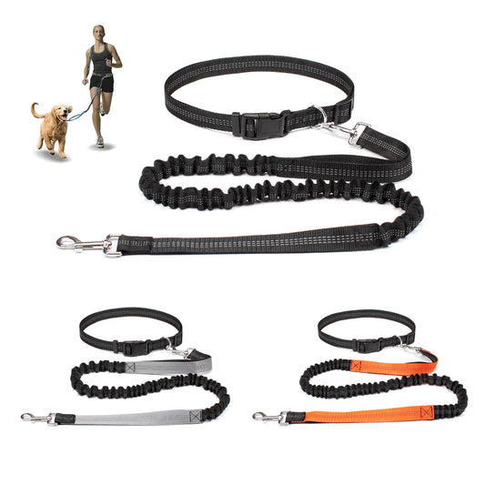 Guangdong Hands Free Dog Leash for Walking and Running