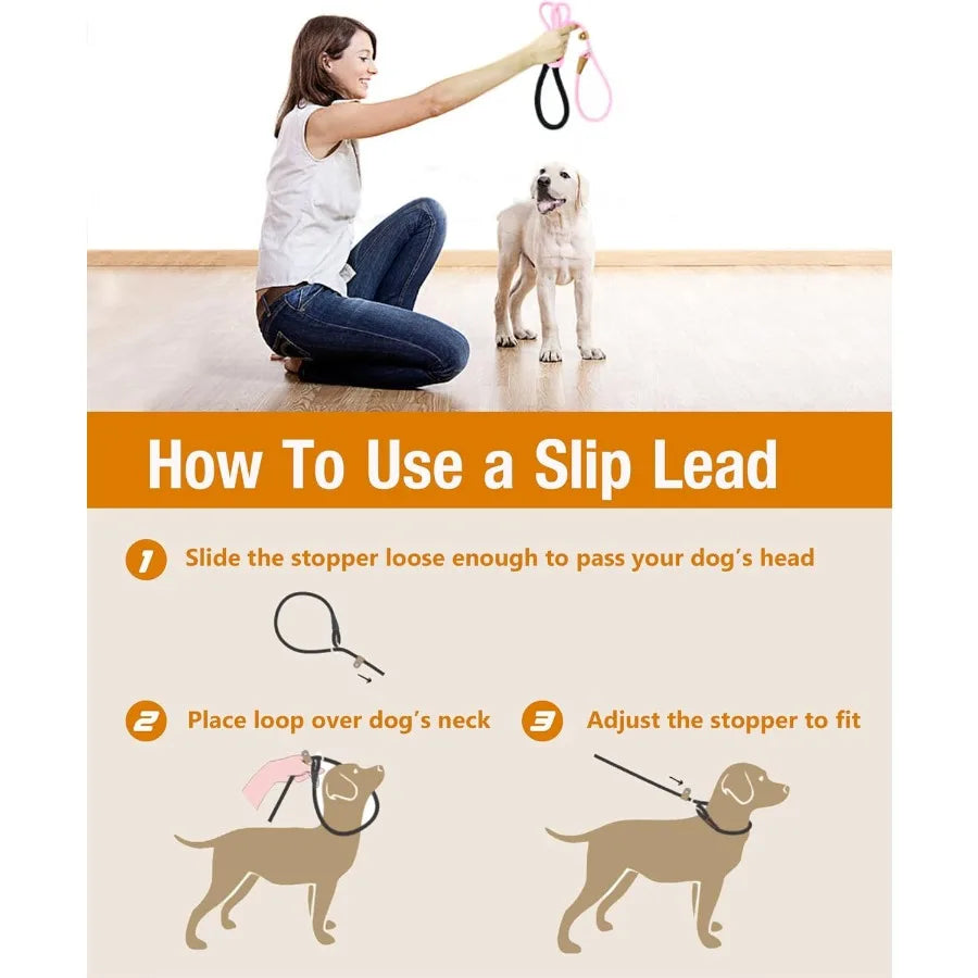 High-concerned Heavy Duty Braided Dog Leash for Training and Walking