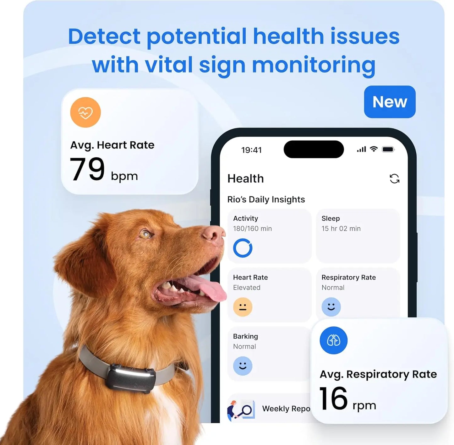 Smart GPS Dog Tracker With Live Tracking And Health Monitoring
