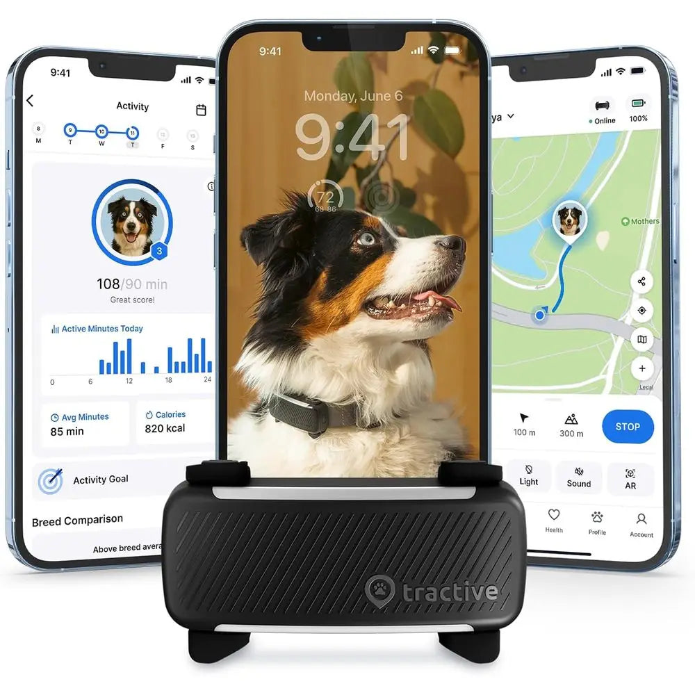 Smart Dog GPS Tracker Real Time Tracking and Bark Monitor