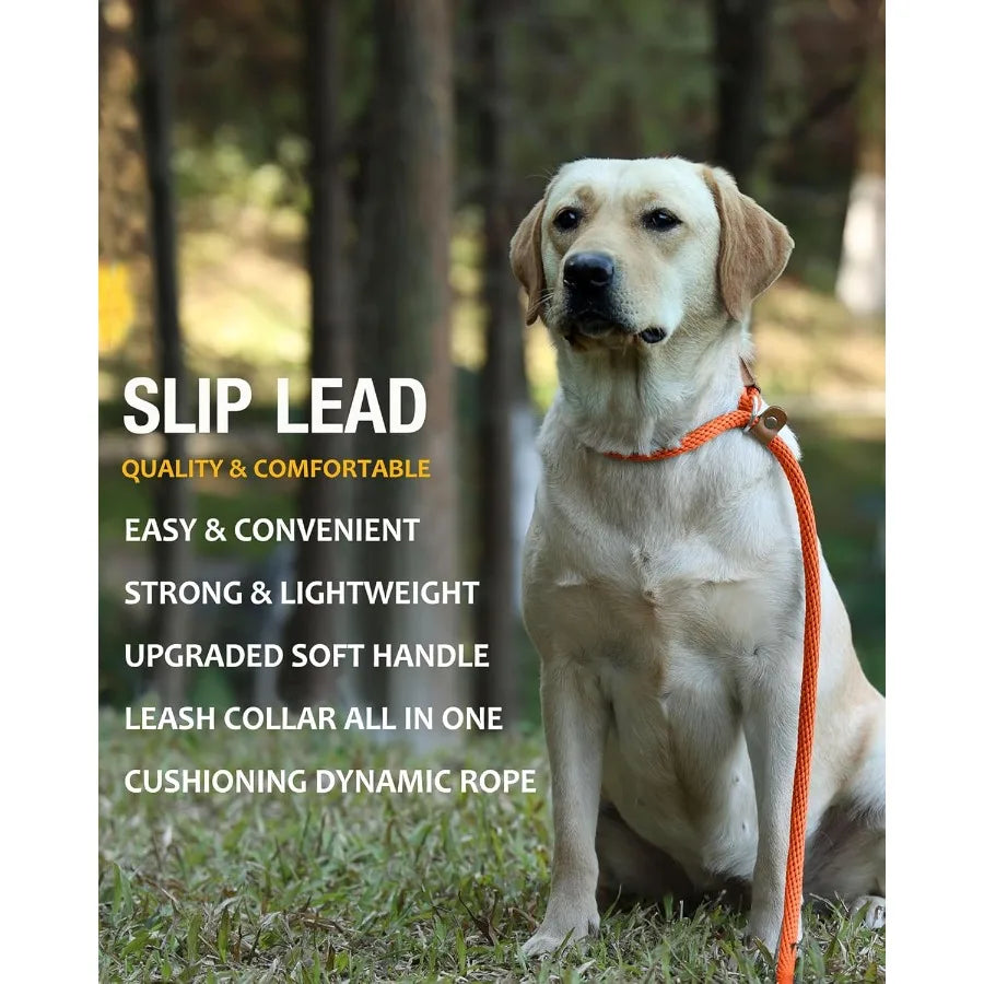 High-concerned Heavy Duty Braided Dog Leash for Training and Walking