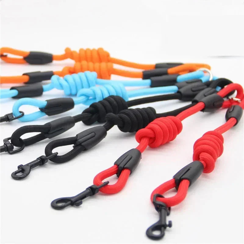 Guangdong Double Dog Leash Coupler Nylon Twin Lead